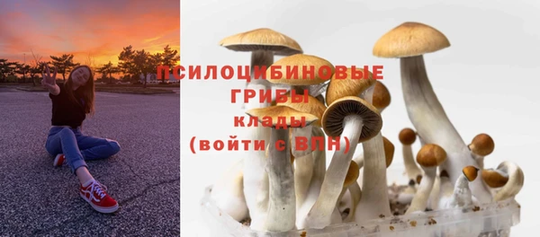 герыч Абаза