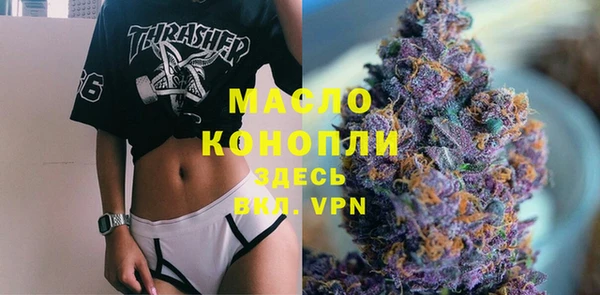 гидра Рославль