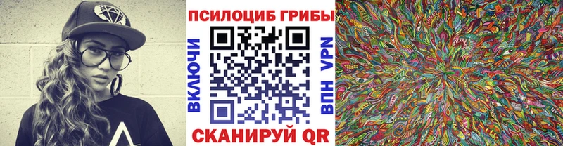 Галлюциногенные грибы мицелий  Дмитриев 