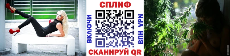 Каннабис планчик  продажа наркотиков  Дмитриев 